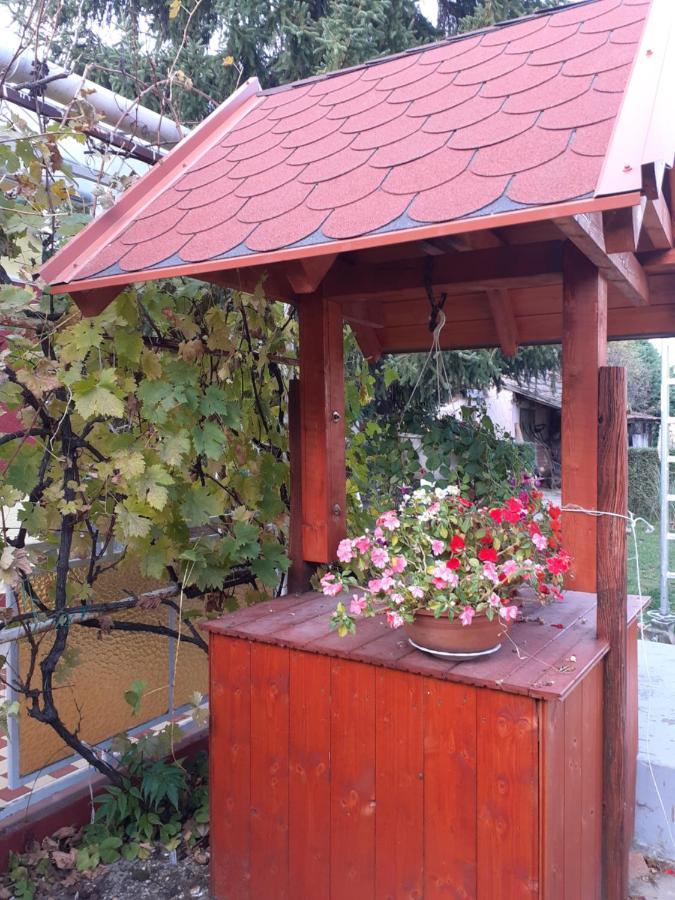 Kereki Retro Vendégház Kerekegyháza Exterior foto